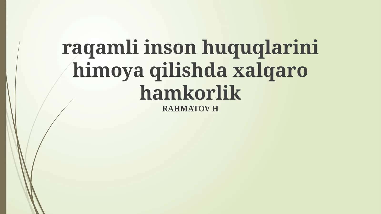 Raqamli inson huquqlarini himoya qilishda xalqaro hamkorlik