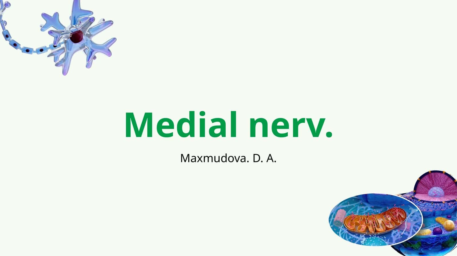 Medial nerv