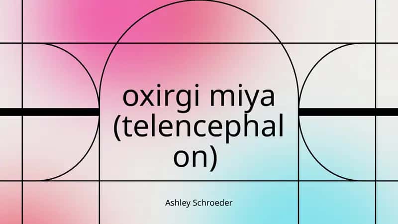 Oxirgimiya (telencephalon)