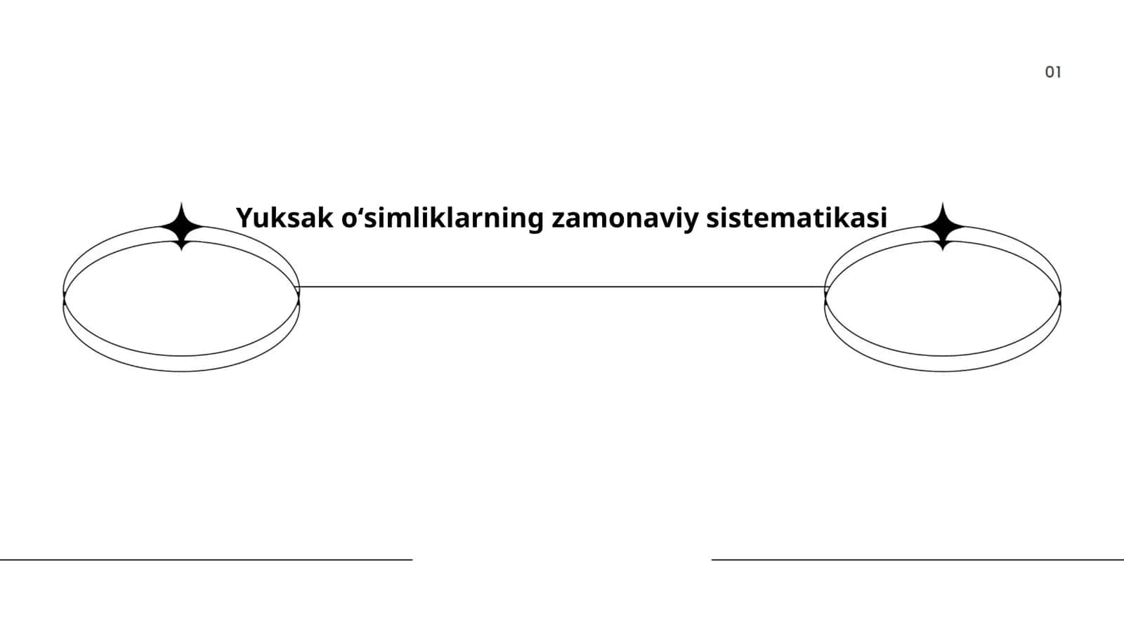 Yuksak oʻsimliklarning zamonaviy sistematikasi