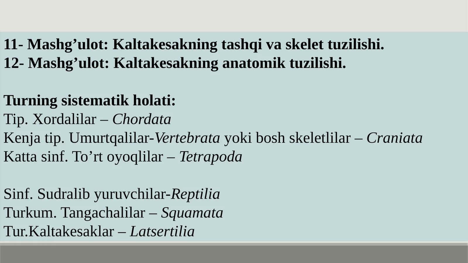 Kaltakesakning tashqi va skelet tuzilishi