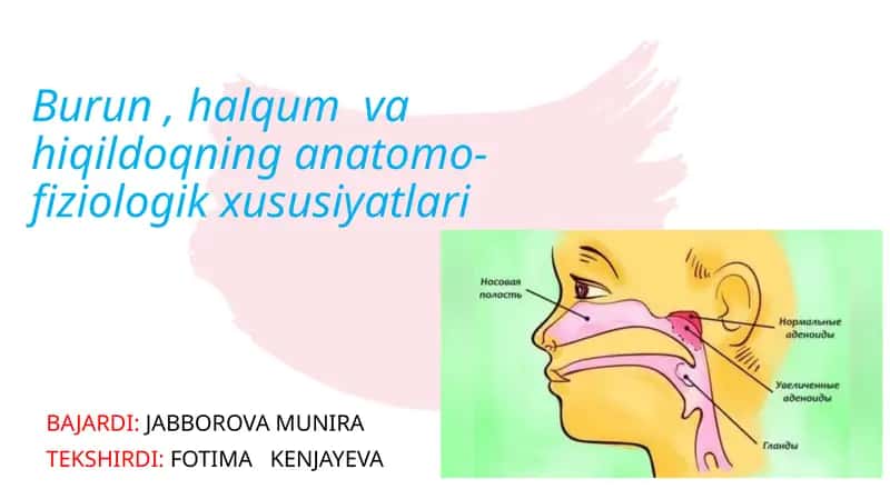 Burun, halqum va hiqildoqning anatomo-fiziologik xususiyatlari