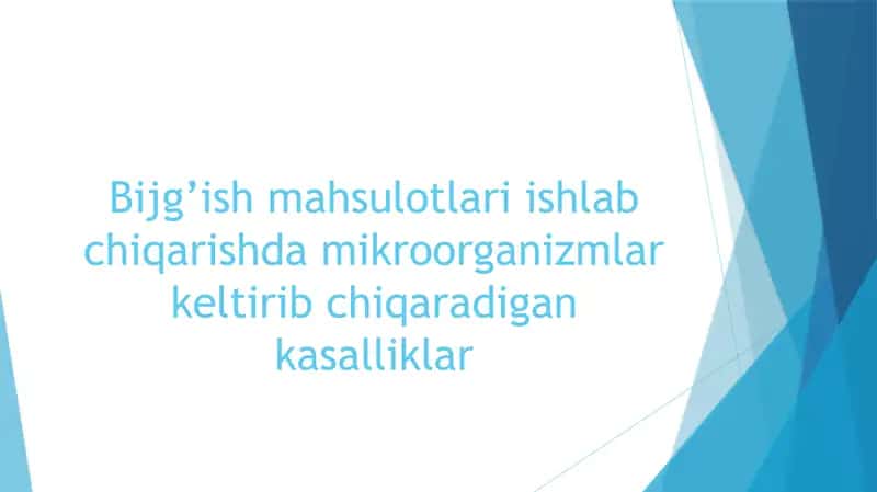 Bijg’ish mahsulotlari ishlab chiqarish