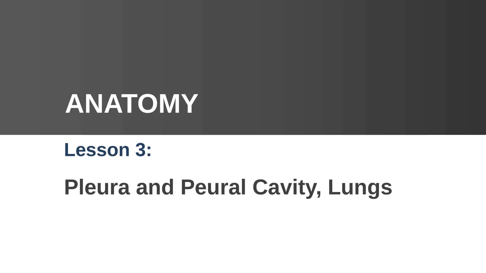 Pleura and Peural Cavity, Lungs