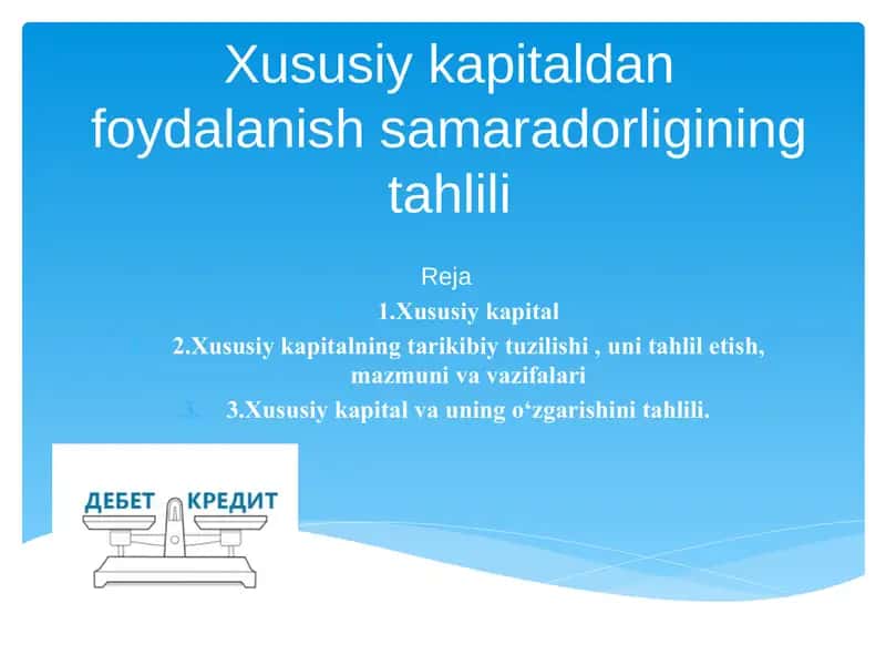 Xususiy kapitaldan foydalanish samaradorligining tahlili