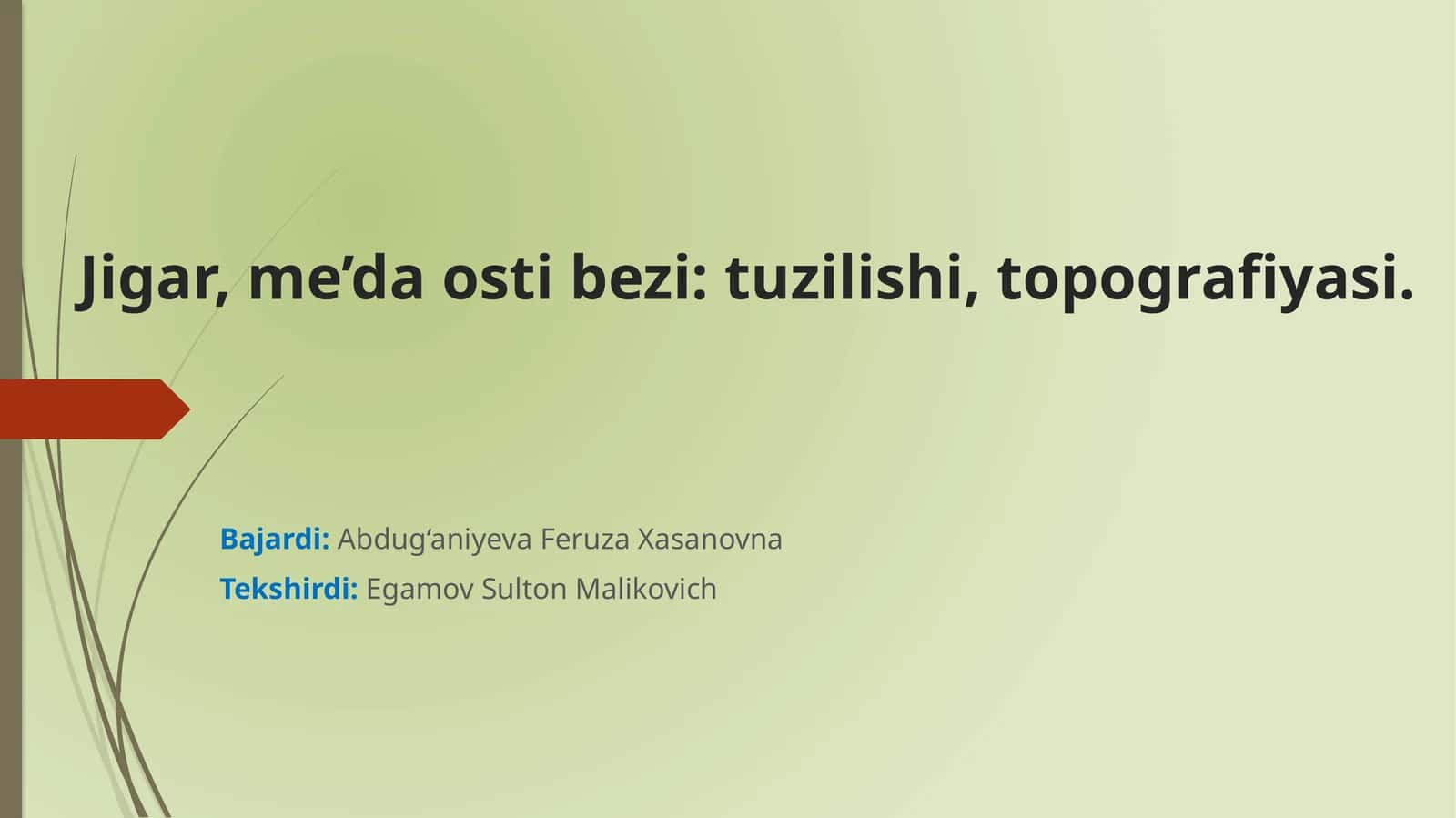 Jigar, me’da osti bezi: tuzilishi, topografiyasi
