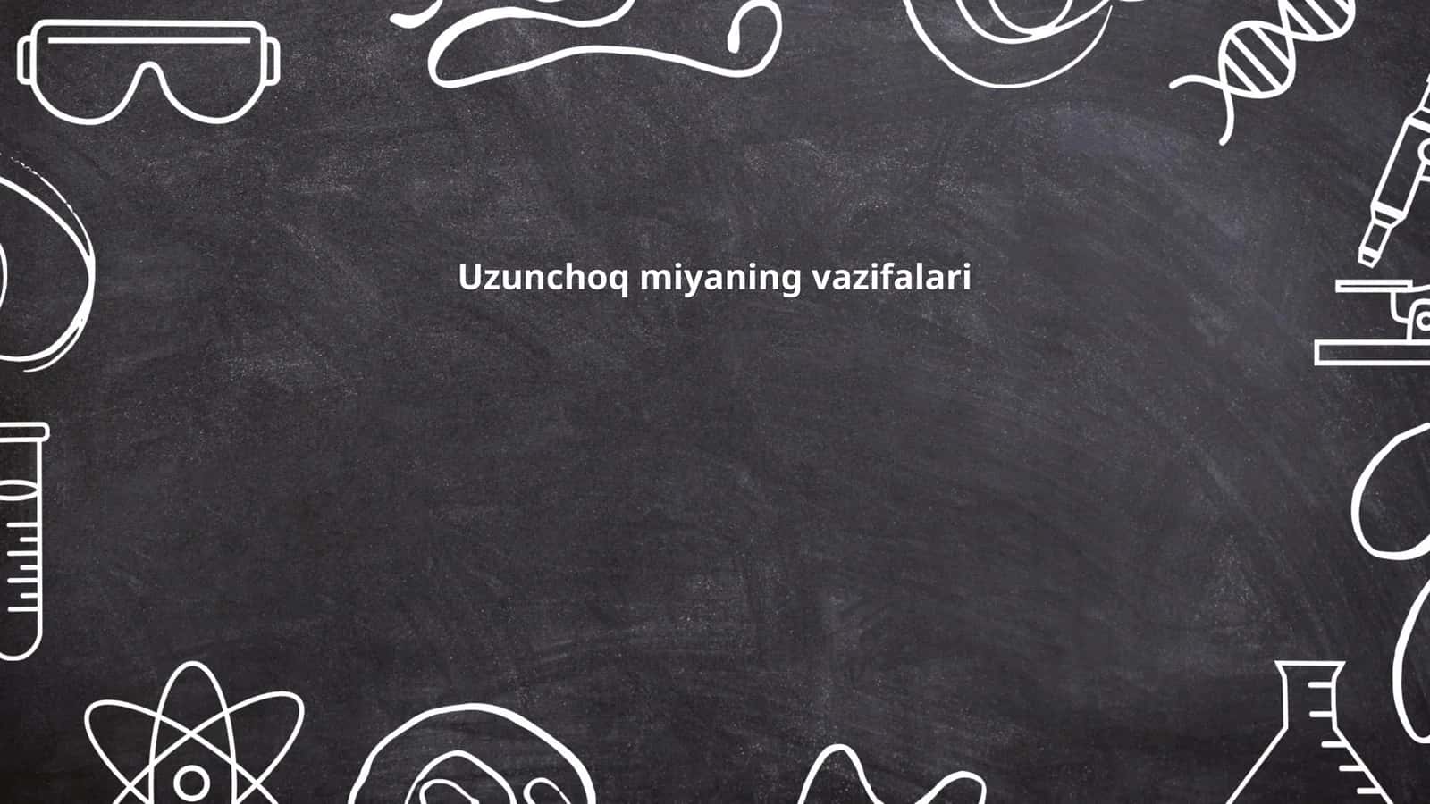 Uzunchoq miyaning vazifalari