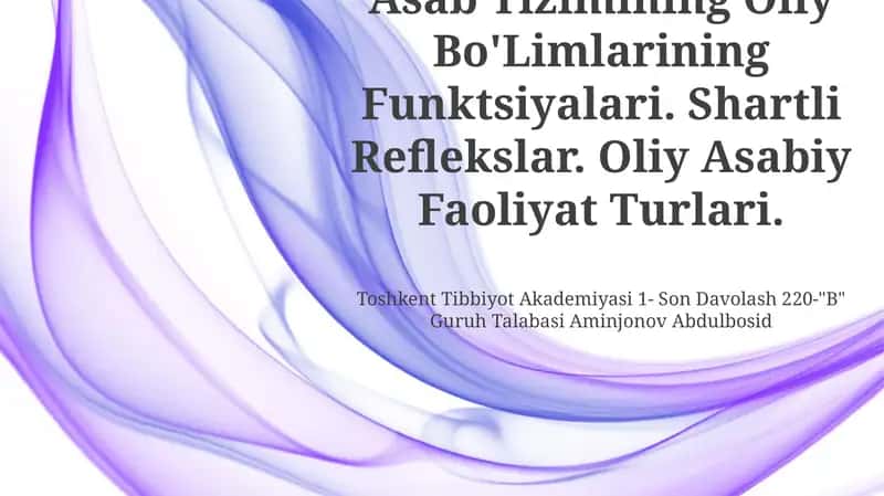 Asab Tizimining Oliy Bo'Limlarining Funktsiyalari
