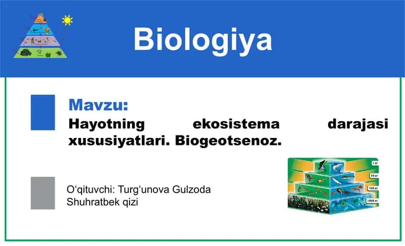 Biogeotsenozning hayotning ekosistema darajasi xususiyatlari mavzusida ta'limot
