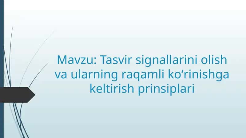 Tasvir signallarini olish va ularning raqamli koʻrinishga keltirish prinsiplari