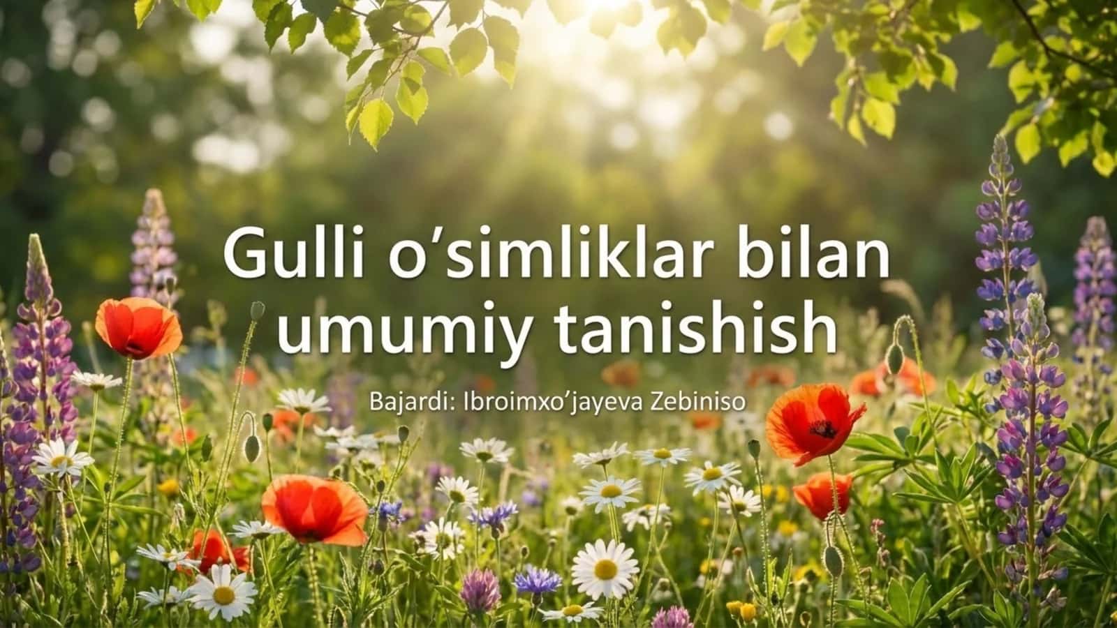 Gulli o'simliklar bilan umumiy tanishish