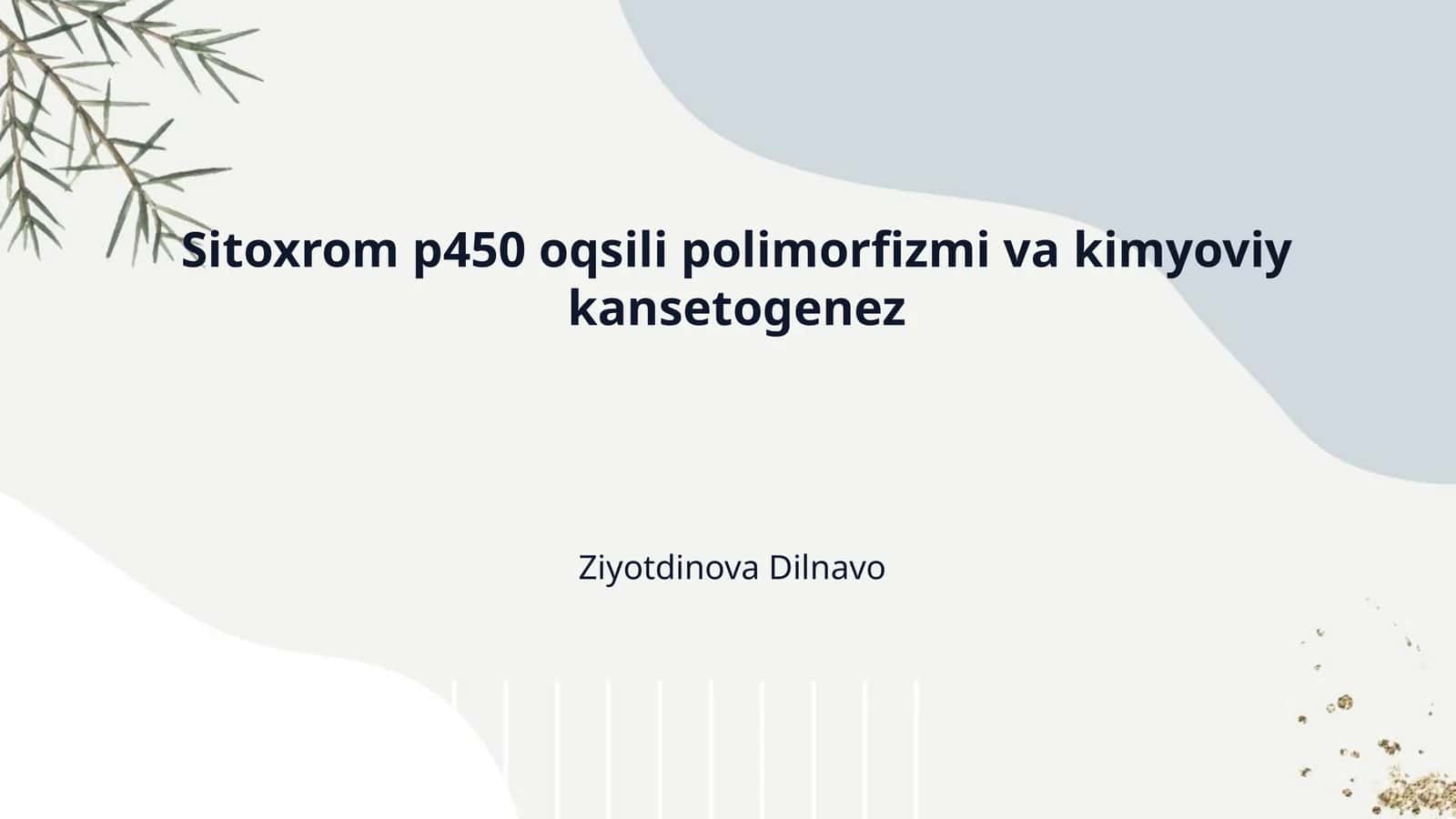 Sitoxrom p450 oqsili polimorfizmi va Kimyoviy kanserogenez