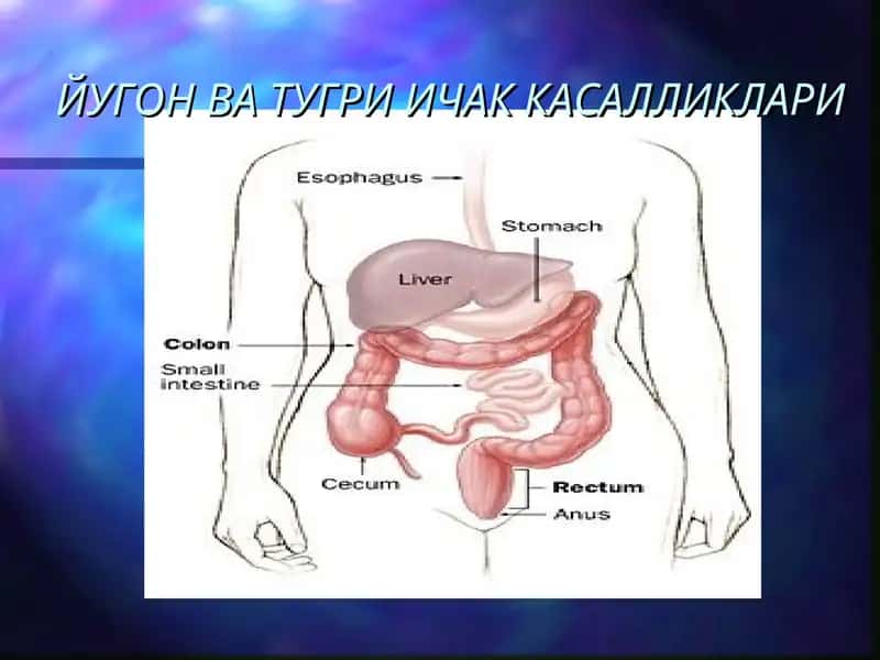 ЙУГОН ВА ТУГРИ ИЧАК КАСАЛЛИКЛАРИ