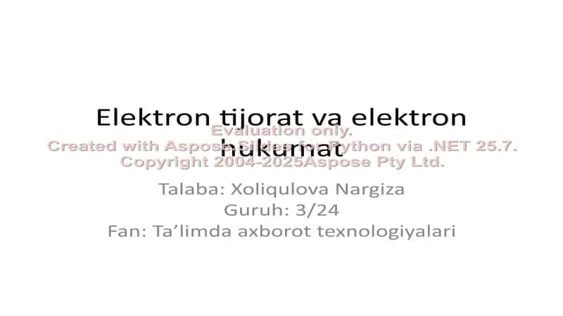 Elektron tijorat va elektron hukumat