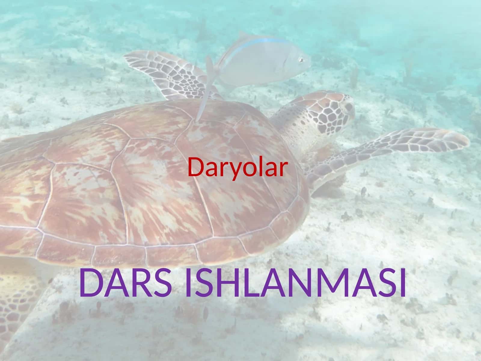 Daryolar