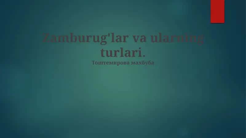 Zamburug'lar va ularning turlari
