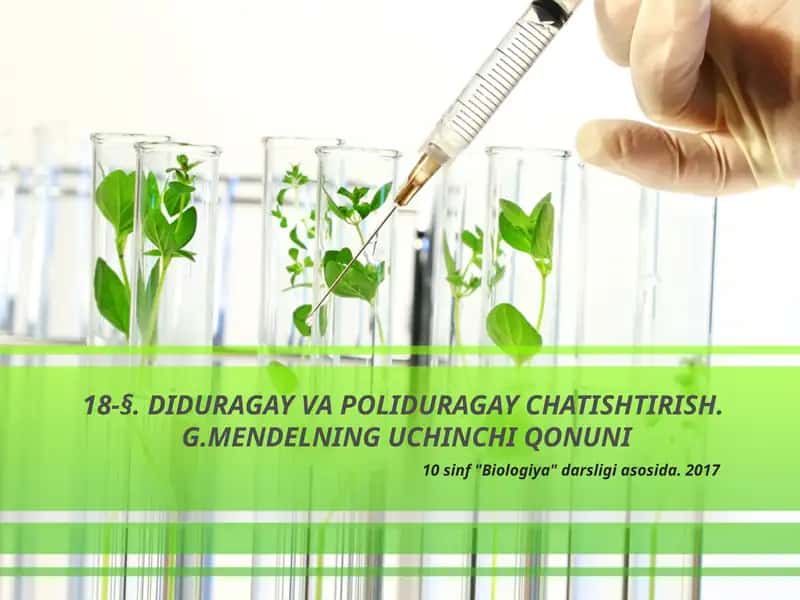 DIDURAGAY VA POLIDURAGAY CHATISHTIRISH. MENDELNING UCHINCHI QONUNI