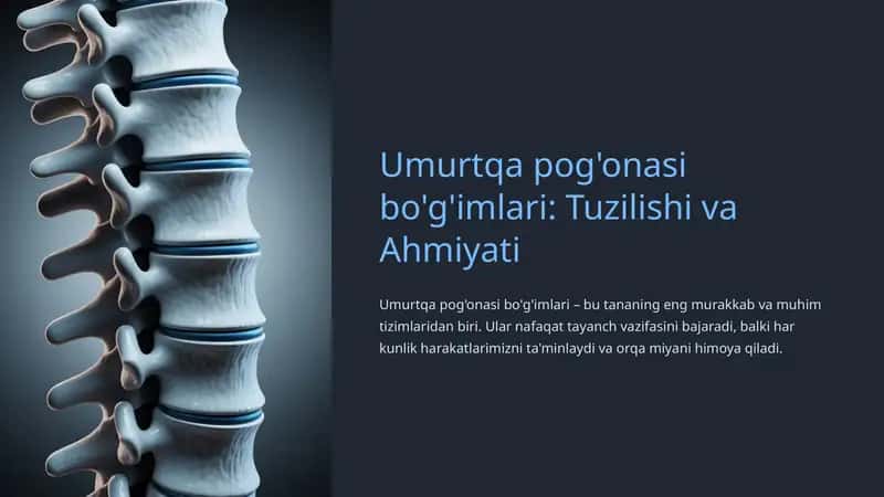 Umurtqa pog'onasi bo'g'imlari: Tuzilishi va Ahmiyati