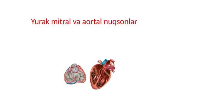 Yurak mitral va aortal nuqsonlar