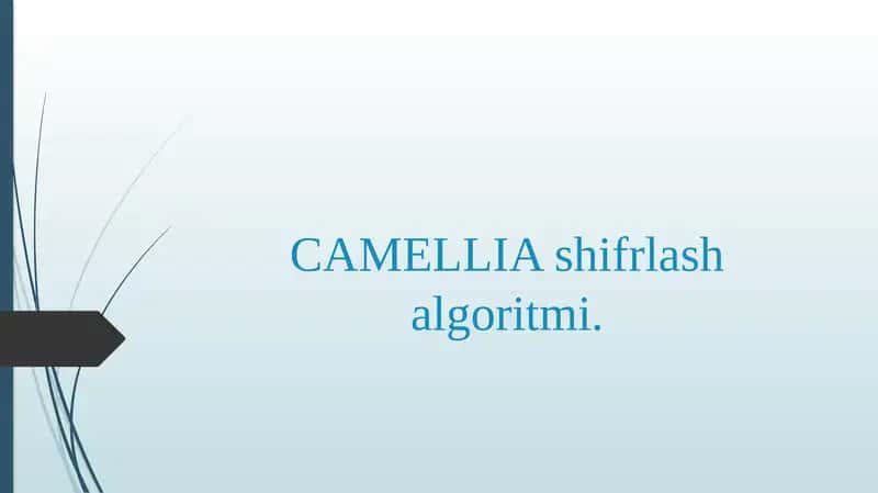 CAMELLIA shifrlash algoritmi.