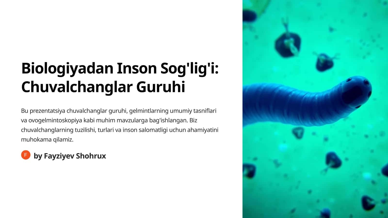 Biologiyadan Inson Sog'lig'i: Chuvalchanglar Guruhi