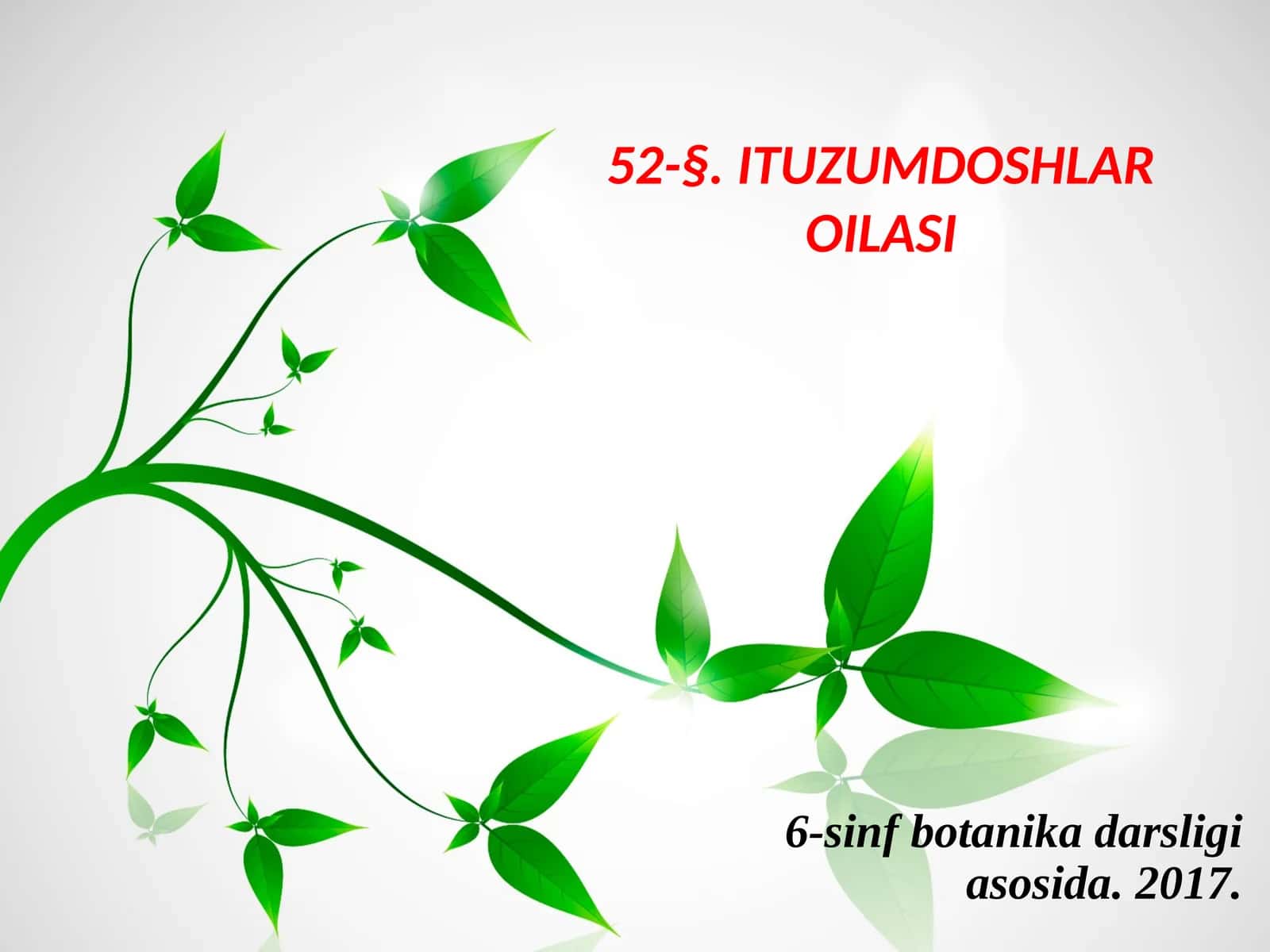 6-sinf Botanika dars ishlanma. Ituzumdoshlar oilasi
