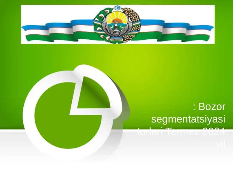 Bozor segmentatsiyasi turlari Termez 2024 yil