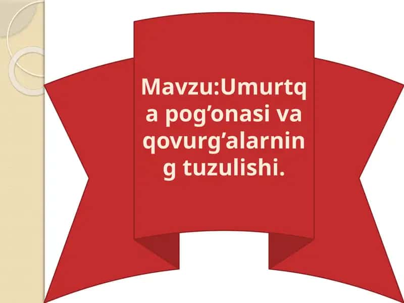 Umurtqa pog'onasi tuzulishi