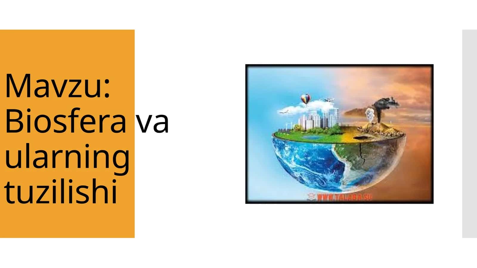Biosfera va ularning tuzilishi