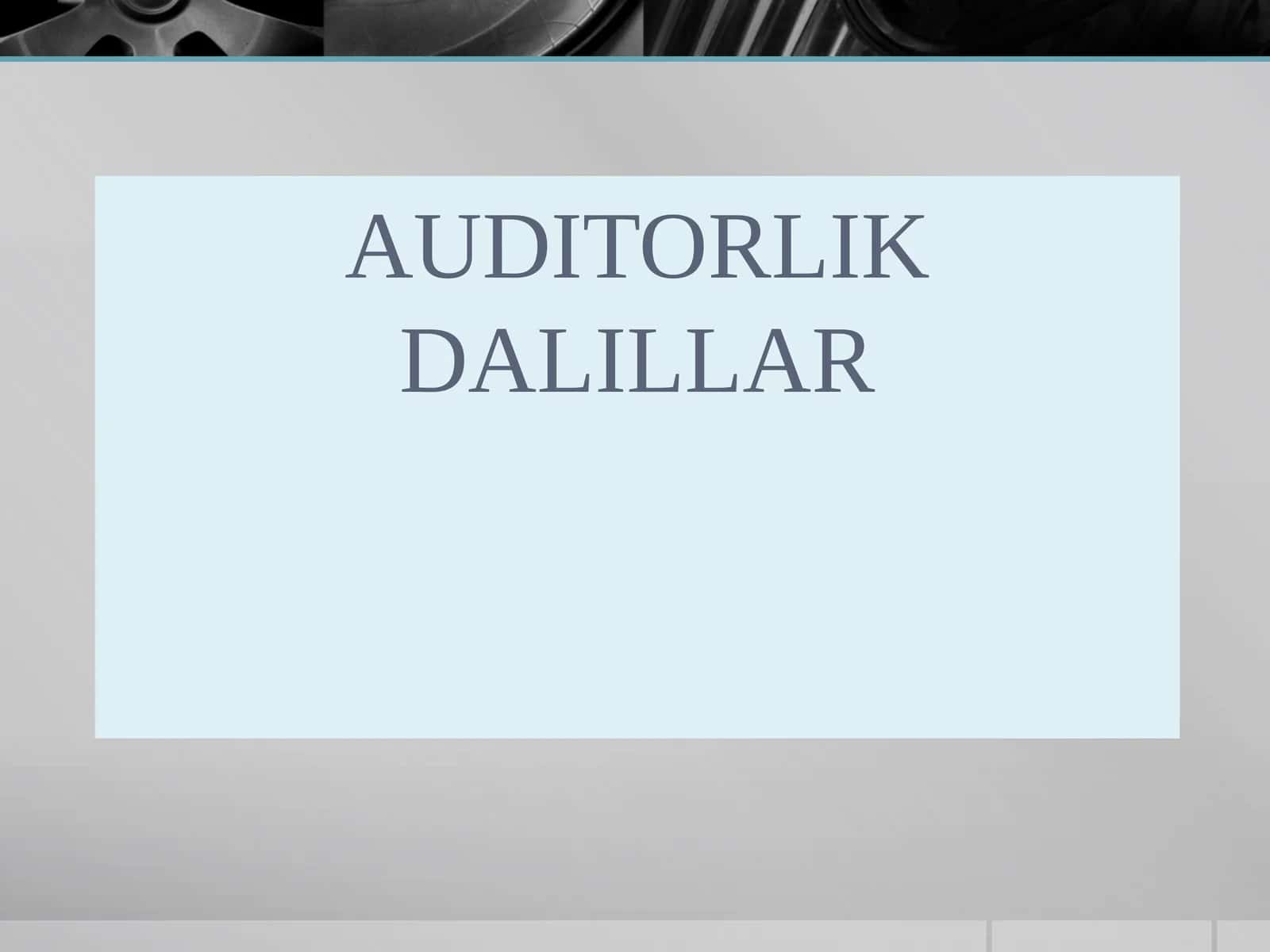 AUDITORLIK DALILLAR