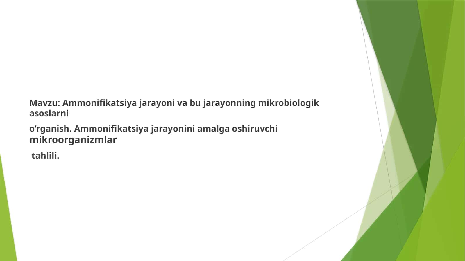 Ammonifikatsiya jarayoni