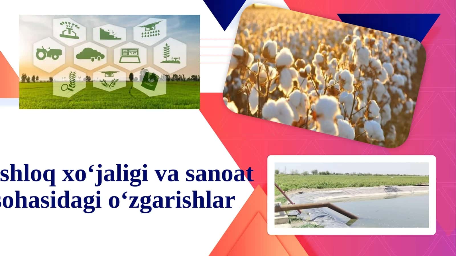 Qishloq xo‘jaligi va sanoat sohasidagi o‘zgarishlar