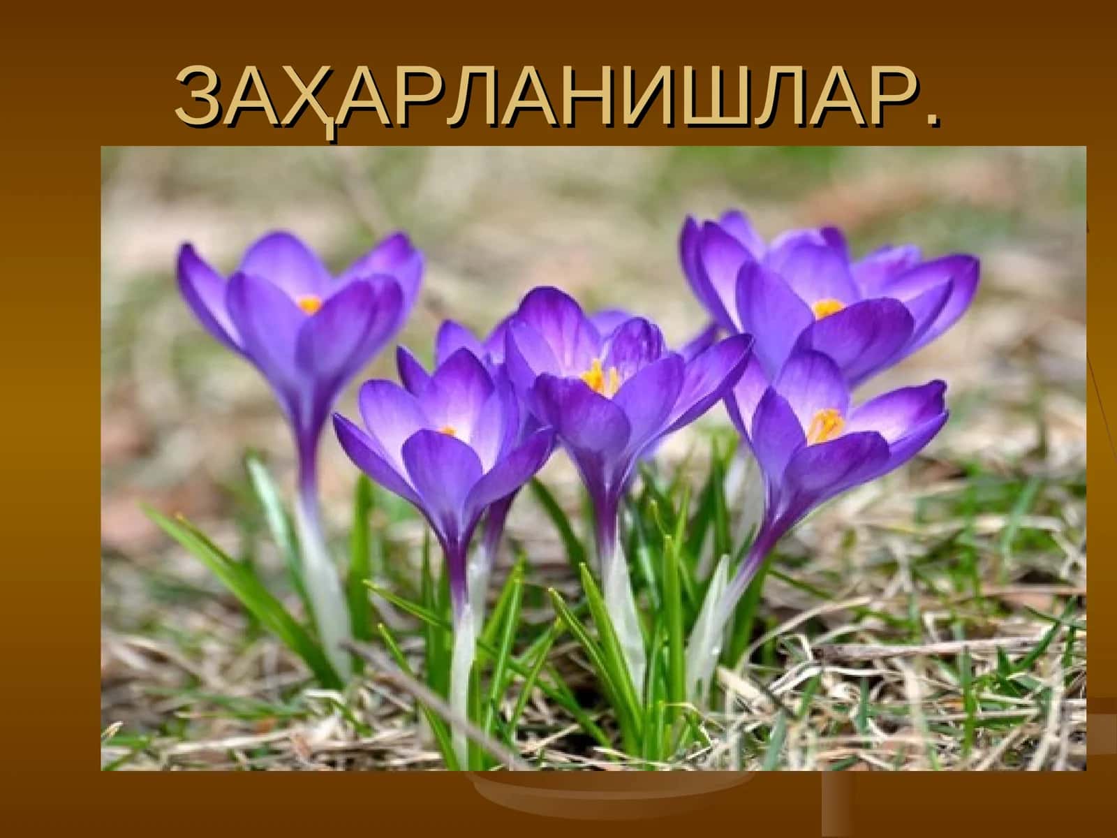 Заҳарланишлар