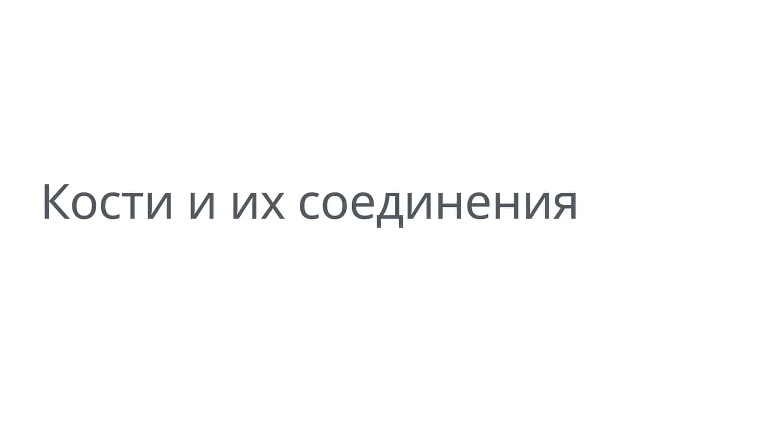 Кости и их соединения
