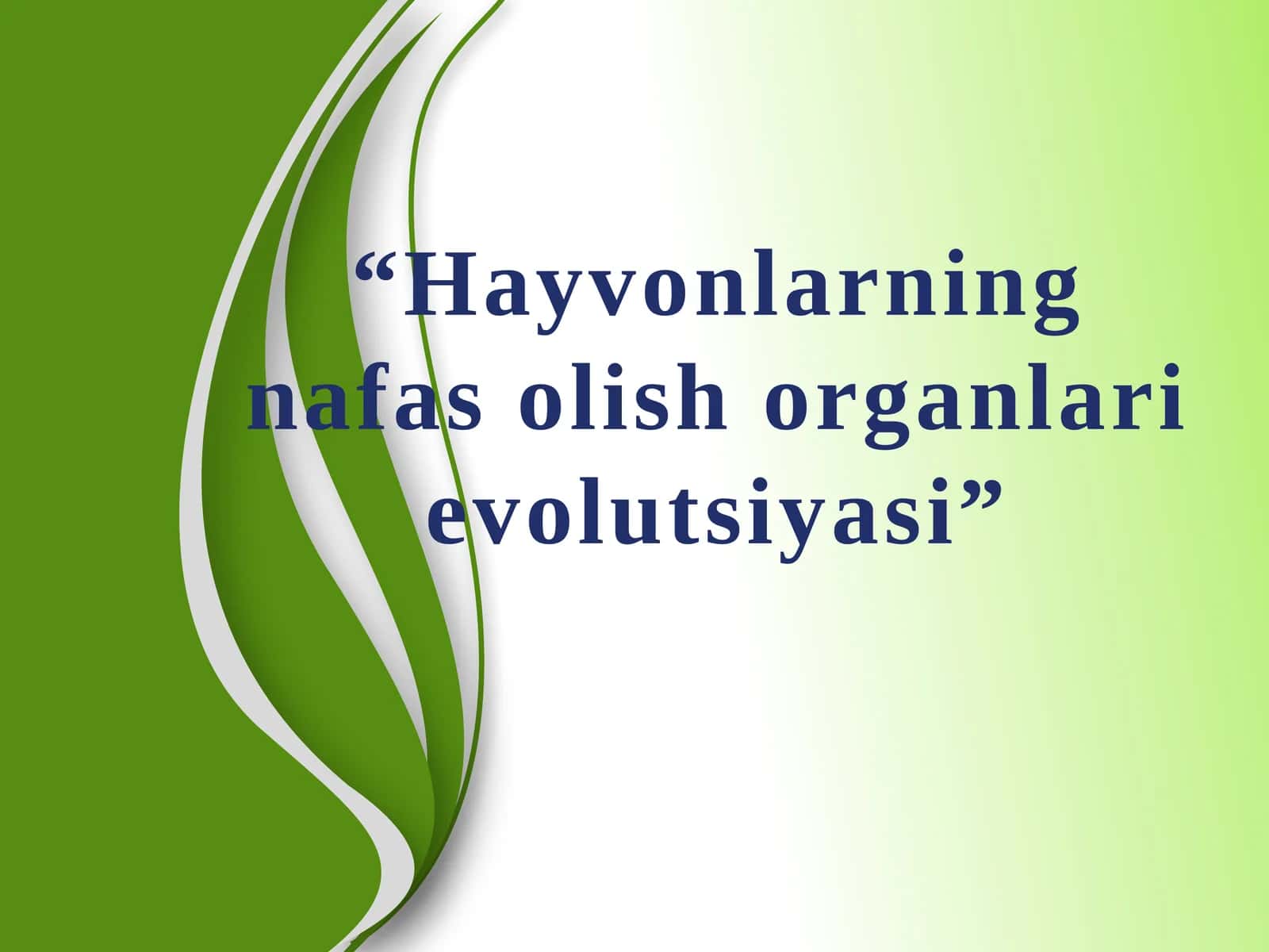Hayvonlarning nafas olish organlari evolutsiyasi
