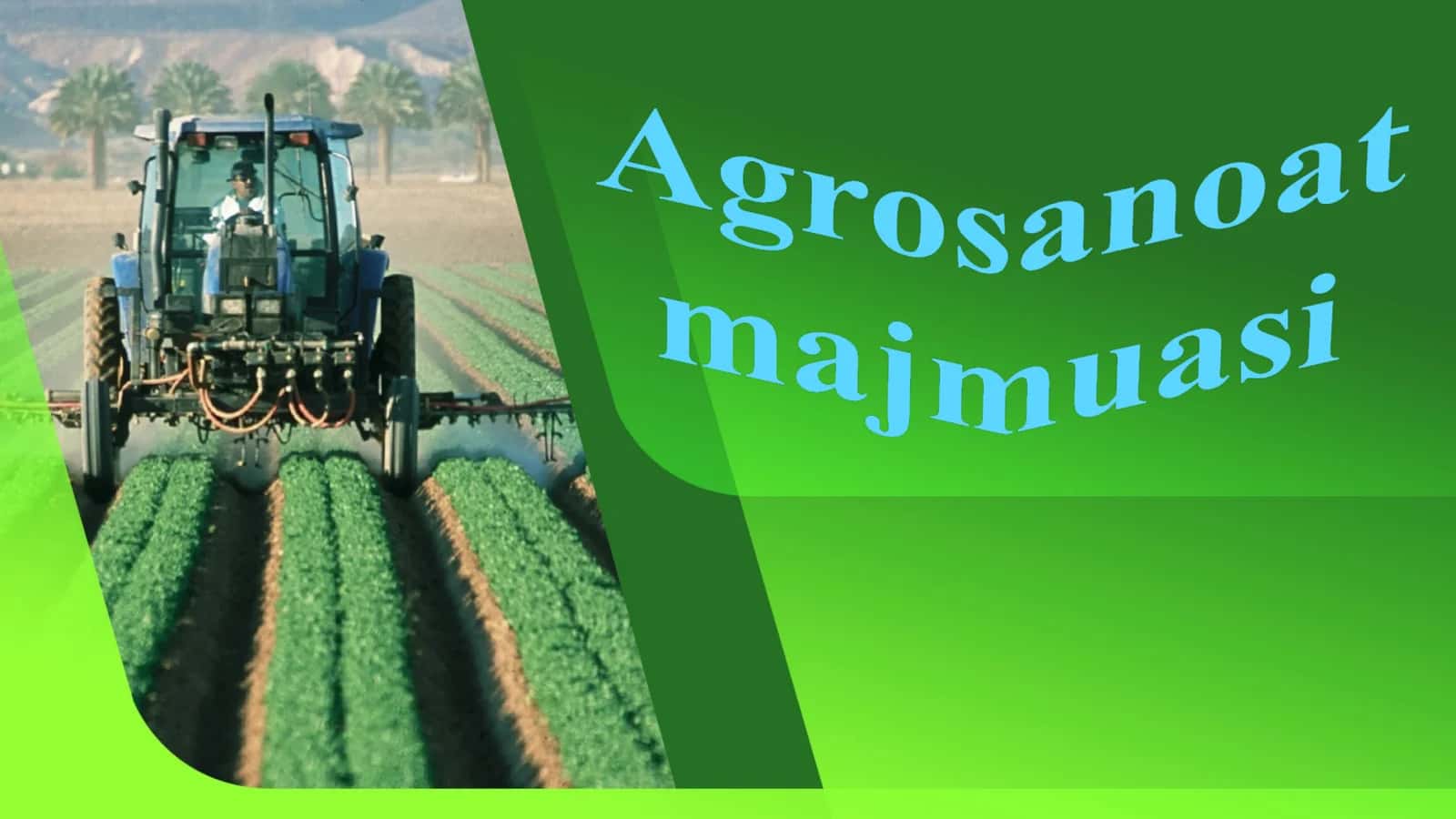 Agrosanoat majmuasi