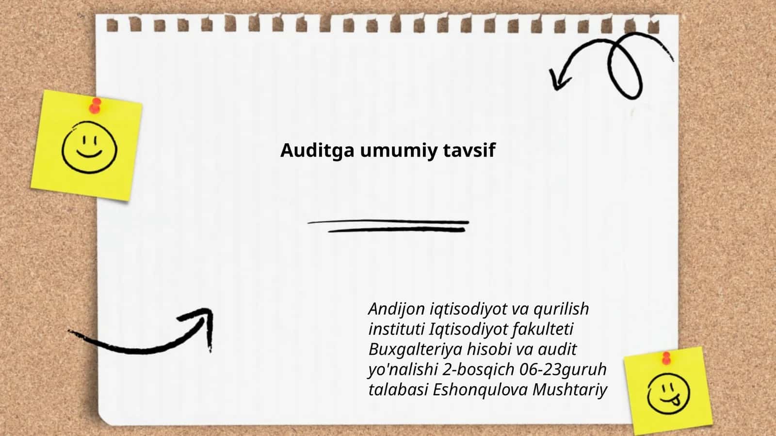 Auditga umumiy tavsif
