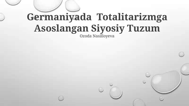 Germaniyada Totalitarizmga Asoslangan Siyosiy Tuzum
