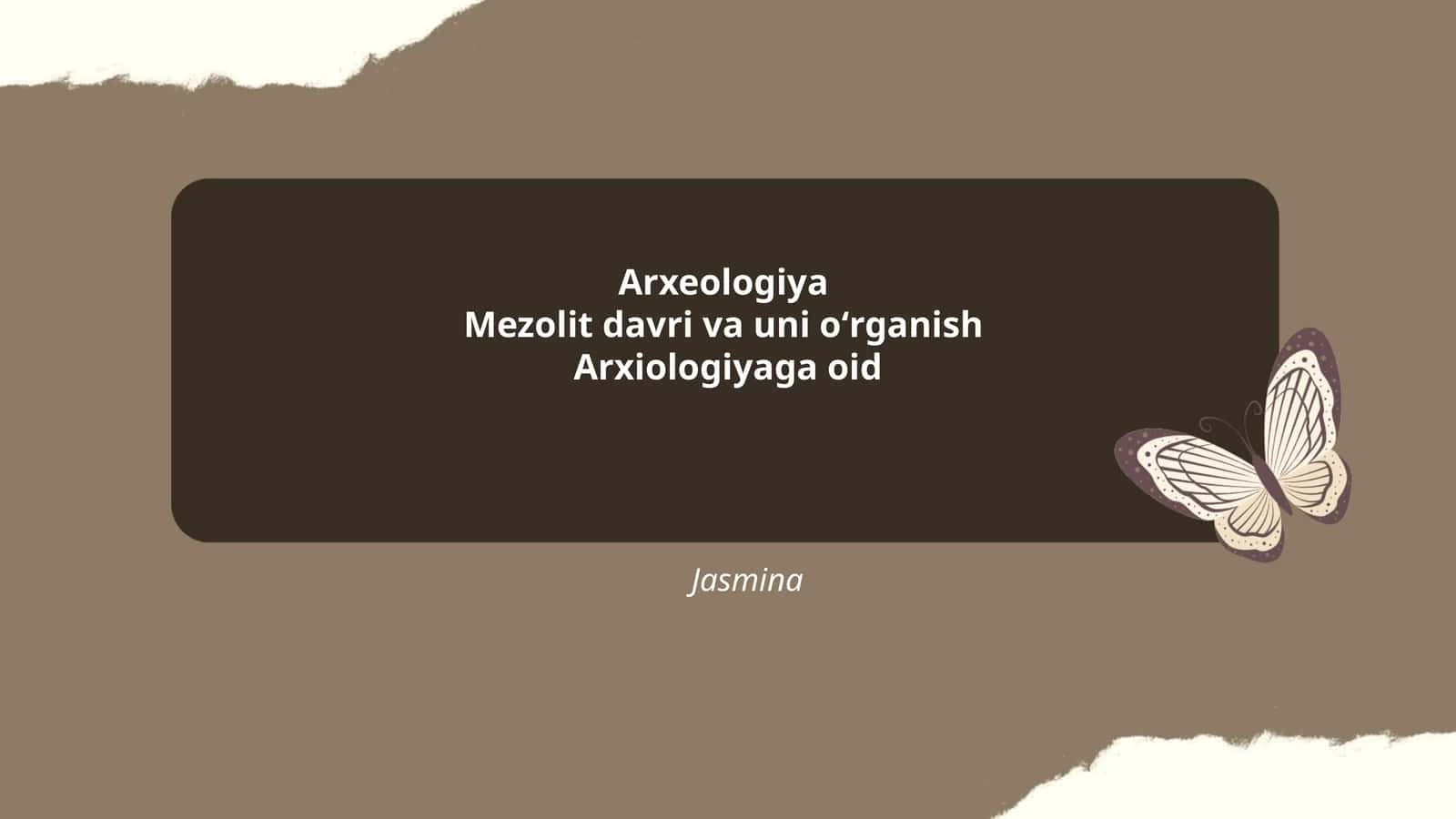 Mezolit davri va uni oʻrganish