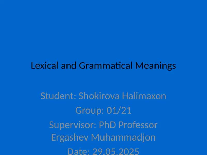 Lexical and Grammatical Meanings