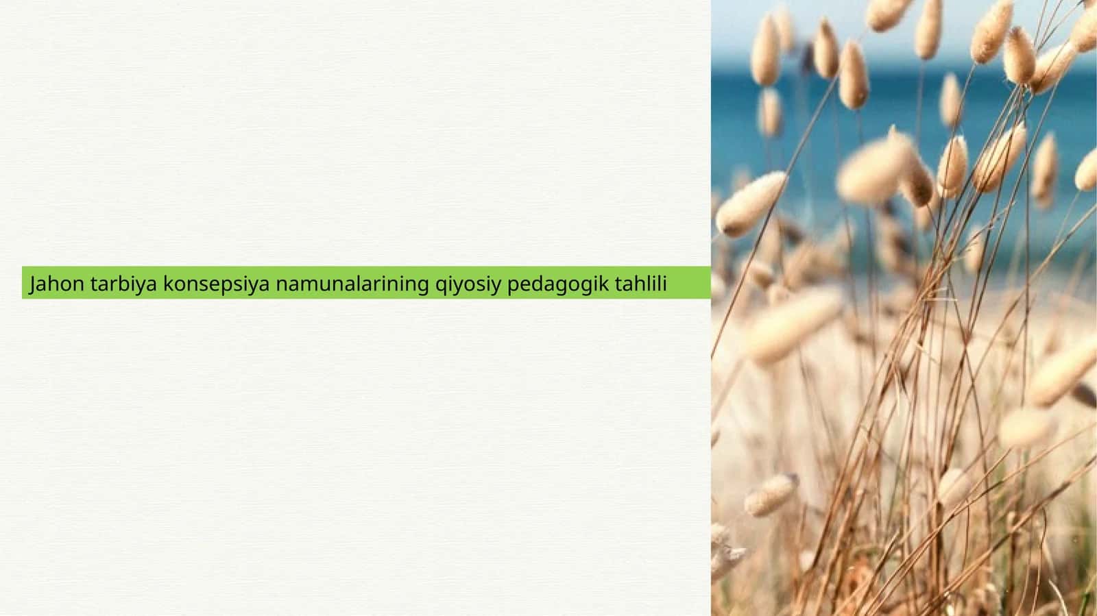 Jahon tarbiya konsepsiya namunalarining qiyosiy pedagogik tahlili