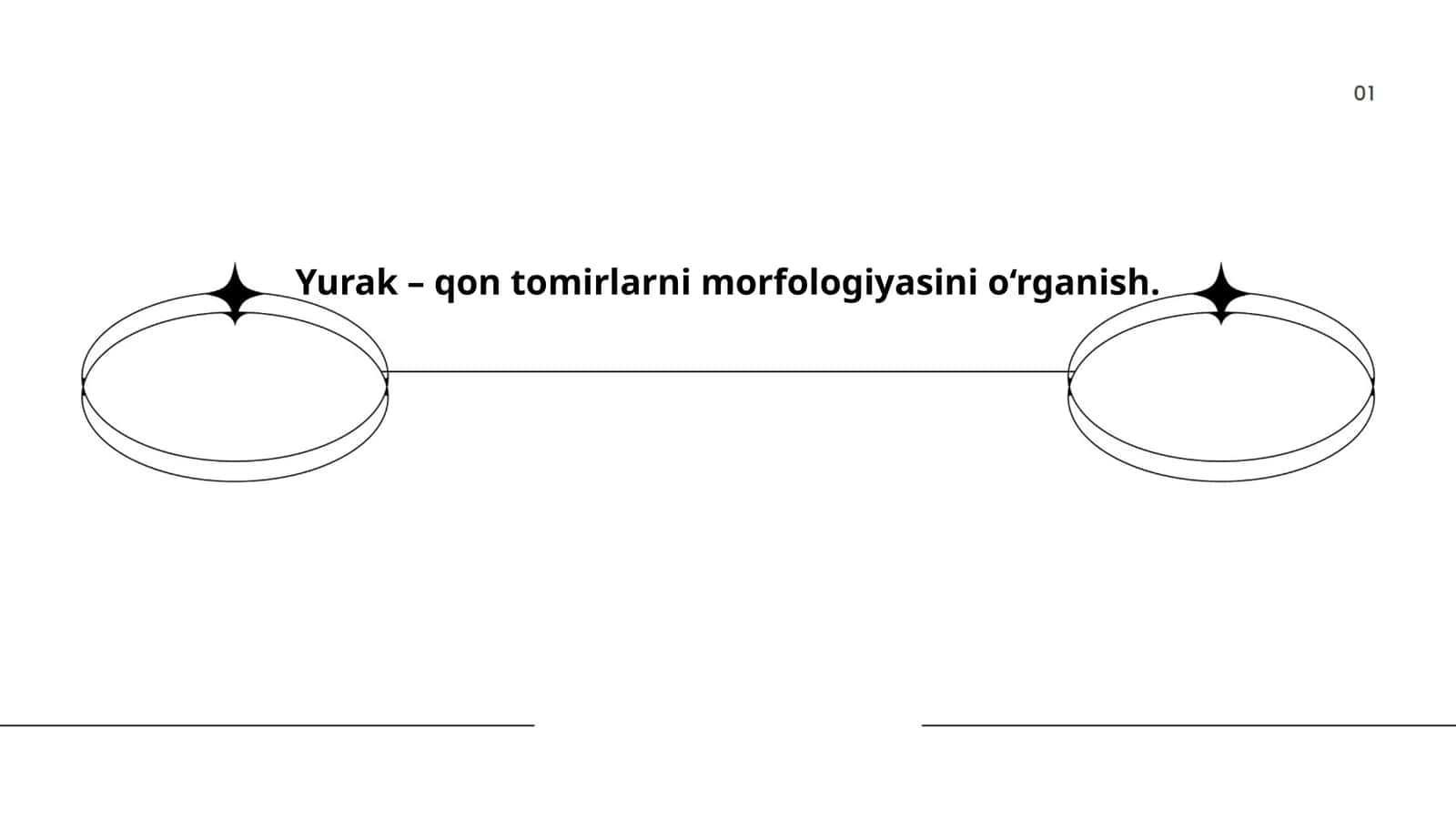 Yurak – qon tomirlarni morfologiyasini o‘rganish