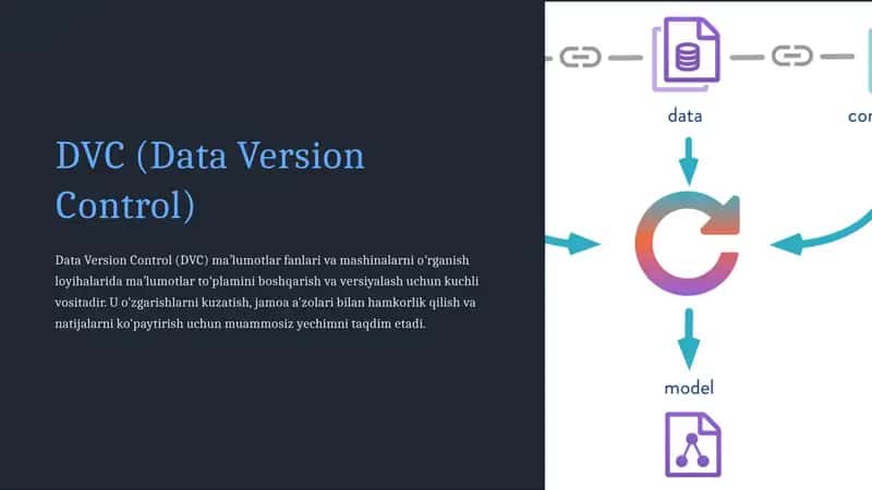 DVC (Data Version Control)