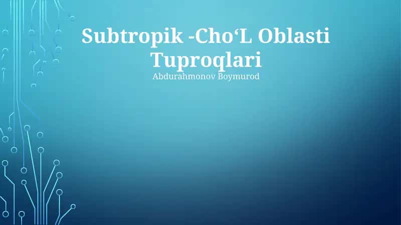 Subtropik choʻl tuproqlari