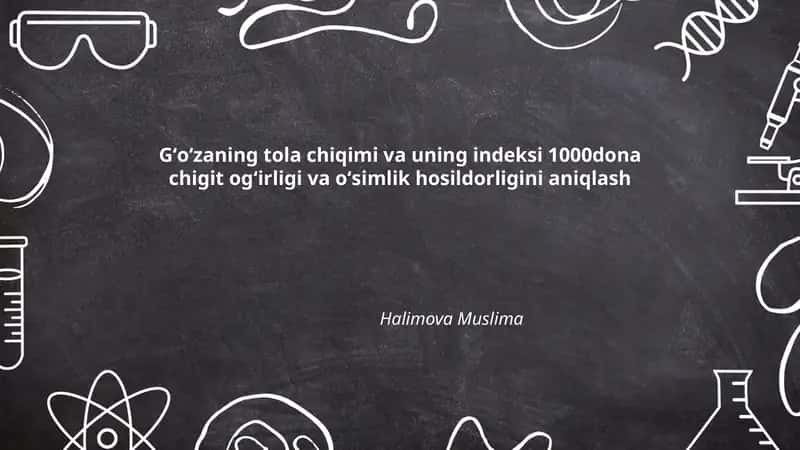 Gʻoʻzaning tola chiqimi va uning indeksi 1000dona chigit ogʻirligi va oʻsimlik hosildorligini aniqlash