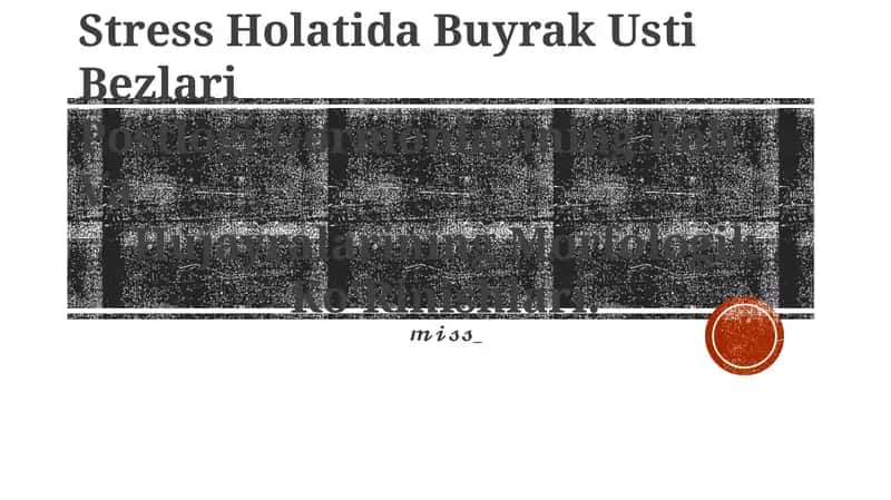 Buyrak Usti Bezlari
