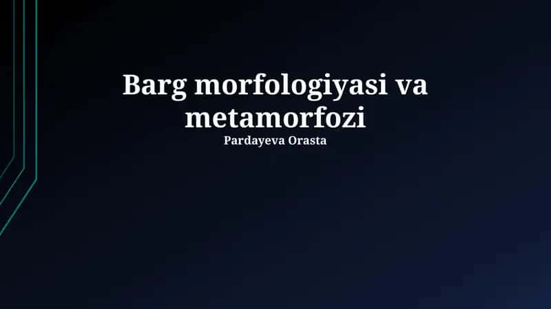 Barg morfologiyasi va metamorfozi