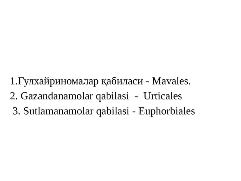 Гулхайринамолар қабиласи - Маvales