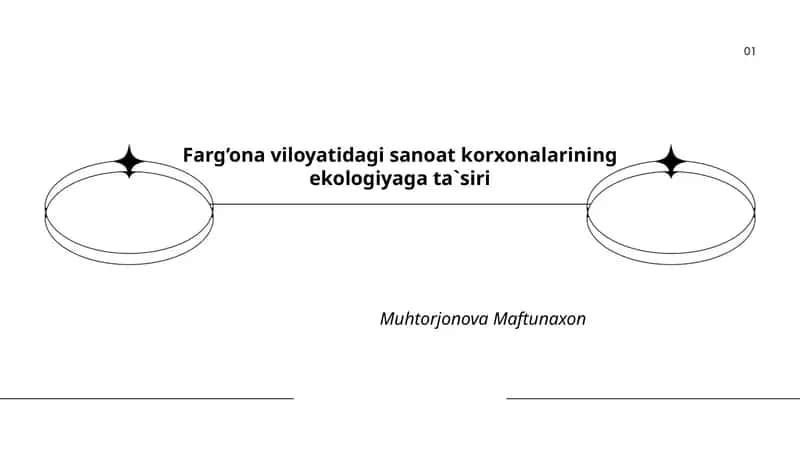 Farg’ona viloyatidagi sanoat korxonalarining ekologiyaga ta`siri