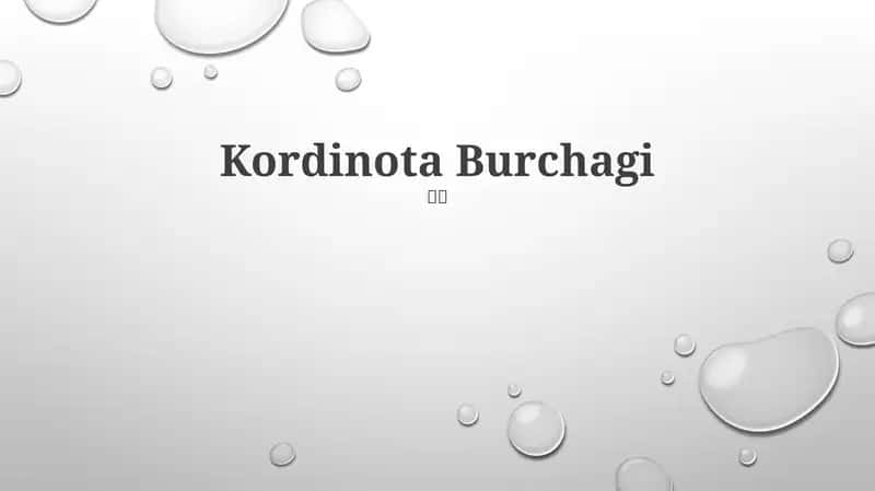 Koordinata Burchagi